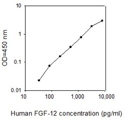 Raybiotech Inc Human FGF-12 ELISA Kit, Quantity: Each of 1