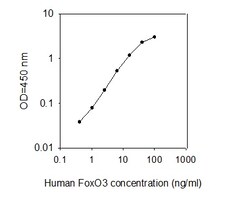 Raybiotech Inc Human FoxO3/FKHRL1 ELISA Kit, Quantity: Each of 1