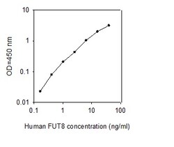 Raybiotech Inc Human Fucosyltransferase 8 ELISA Kit, Quantity: Each of
