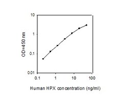 Raybiotech Inc Human Hemopexin ELISA Kit, Quantity: Each of 1
