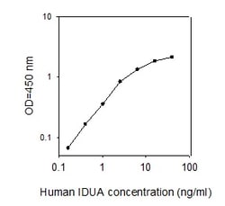 Raybiotech Inc Human IDUA ELISA Kit, Quantity: Each of 1
