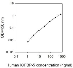 Raybiotech Inc Human IGFBP-5 ELISA Kit, Quantity: Each of 1