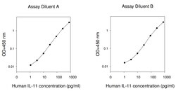 Raybiotech Inc Human IL-11 ELISA Kit, Quantity: Each of 1