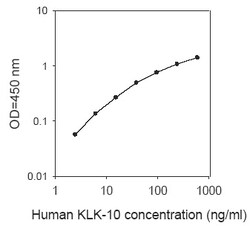 Raybiotech Inc Human Kallikrein 10 ELISA Kit, Quantity: Each of 1