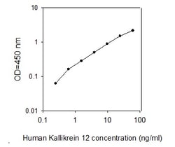 Raybiotech Inc Human Kallikrein 12 ELISA Kit, Quantity: Each of 1