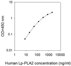 Raybiotech Inc Human Lp-PLA2/PLA2G7/PAF-AH ELISA Kit, Quantity: Each of