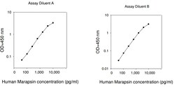 Raybiotech Inc Human Marapsin ELISA Kit, Quantity: Each of 1
