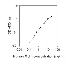 Raybiotech Inc Human Mcl-1/Bcl2L3 ELISA Kit, Quantity: Each of 1