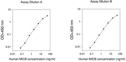 Raybiotech Inc Human MICB ELISA Kit, Quantity: Each of 1