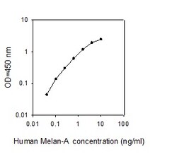 Raybiotech Inc Human Melan-A/MART-1 ELISA Kit, Quantity: Each of 1