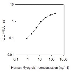 Raybiotech Inc Human Myoglobin ELISA Kit, Quantity: Each of 1