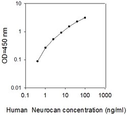 Raybiotech Inc Human Neurocan ELISA Kit, Quantity: Each of 1