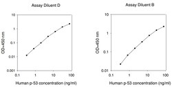 Raybiotech Inc Human p53 ELISA Kit, Quantity: Each of 1