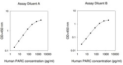 Raybiotech Inc Human PARC (CCL18) ELISA Kit, Quantity: Each of 1
