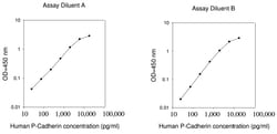 Raybiotech Inc Human P-Cadherin ELISA Kit, Quantity: Each of 1
