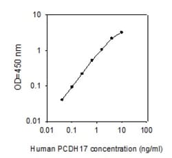 Raybiotech Inc Human Protocadherin-17 ELISA Kit, Quantity: Each of 1