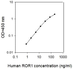 Raybiotech Inc Human ROR1 ELISA Kit, Quantity: Each of 1