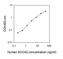 Raybiotech Inc Human SCCA2/Serpin B4 ELISA Kit, Quantity: Each of 1