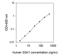 Raybiotech Inc Human SGK1 ELISA Kit, Quantity: Each of 1