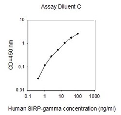 Raybiotech Inc Human SIRP-gamma (CD172g) ELISA Kit, Quantity: Each of 1