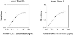 Raybiotech Inc Human SOX17 ELISA Kit, Quantity: Each of 1