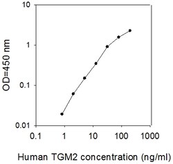 Raybiotech Inc Human Transglutaminase 2/TGM2 ELISA Kit, Quantity: Each