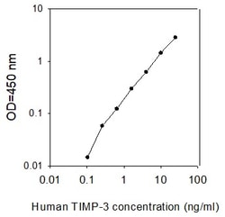 Raybiotech Inc Human TIMP-3 ELISA Kit, Quantity: Each of 1