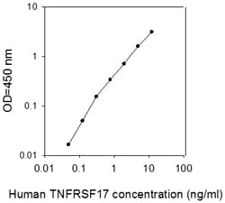 Raybiotech Inc Human BCMA/TNFRSF17 ELISA Kit, Quantity: Each of 1