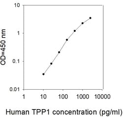 Raybiotech Inc Human Tripeptidyl-peptidase I/TPP1 ELISA Kit, Quantity: