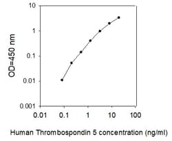 Raybiotech Inc Human Thrombospondin-5/COMP ELISA Kit, Quantity: Each of