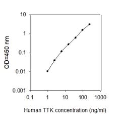 Raybiotech Inc Human TTK/PYT ELISA Kit, Quantity: Each of 1