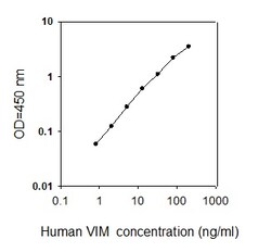 Raybiotech Inc Human Vimentin ELISA Kit, Quantity: Each of 1
