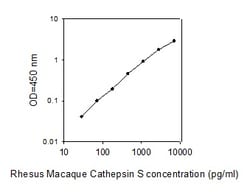 Raybiotech Inc Rhesus Monkey Cathepsin S ELISA Kit, Quantity: Each of 1