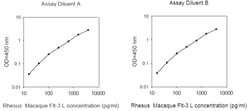 Raybiotech Inc Rhesus Monkey Flt-3 Ligand ELISA Kit, Quantity: Each of
