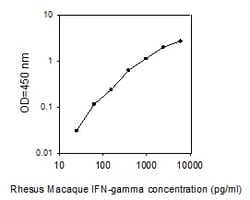 Raybiotech Inc Rhesus Monkey IFN-gamma ELISA Kit, Quantity: Each of 1