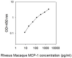 Raybiotech Inc Rhesus Macaque MCP-1/CCL2 ELISA Kit, Quantity: Each of 1