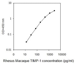 Raybiotech Inc Rhesus Macaque TIMP-1 ELISA Kit, Quantity: Each of 1