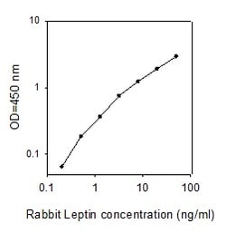 Raybiotech Inc Rabbit Leptin ELISA Kit, Quantity: Each of 1