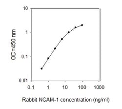Raybiotech Inc Rabbit NCAM-1/CD56 ELISA Kit, Quantity: Each of 1