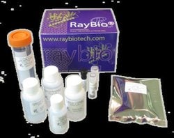 Raybiotech Inc&nbsp;HUMAN CYTOKINE ARRAY G5 (4)