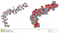 R Peptide LLC Beta-Amyloid (1-42), 107761-42-2, MFCD00163049, Quantity: