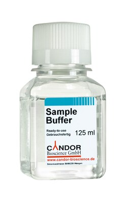 Boca Scientific Inc Sample Buffer, 125ml, Quantity: Each of 1