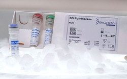 Boca Scientific Inc SD Polymerase, 10 U/ul, 200 U