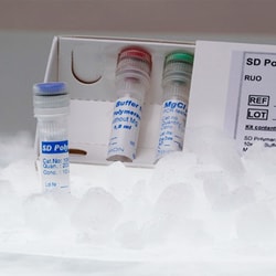 Boca Scientific Inc SD Polymerase, 10 U/ul, 1000 U, Quantity: Each of 1