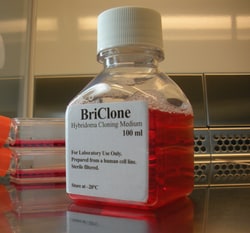 Boca Scientific Inc BriClone Hybridoma Cloning Additive, 100ml, Quantity: