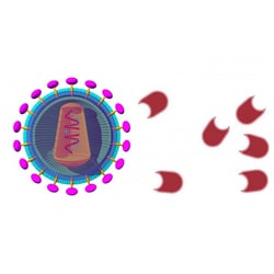 Boca Scientific Inc LentiBlast Premium Transduction Enhancer, 1500ul, Quantity: