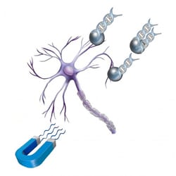 Boca Scientific Inc NeuroMag Neuron Specific Transfection Reagent, 1ml,
