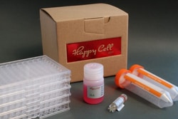 Boca Scientific Inc Happy Cell ASM General Purpose & Scale Up Kit - RPMI: 1 x 25ml Happy Cell ASM RPMI 4X Concentrate, 1 x vial Inactivation Solution, 5 x low attachment 96 well microplates, 2 x 50ml bioreactor tubes