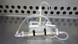 Fiber Cell System High flux PS Cartridges, Small, 450cm2, Quantity: Each