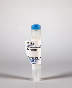 Bio X Cell Antibody, anti-human/monkey CD28, Mouse IgG1, 5 mg, Quantity: